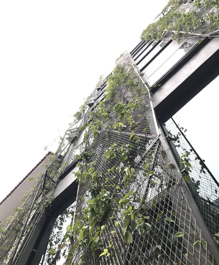 Aluminum expanded metal panels are used as metallic pergola for sunshade.
