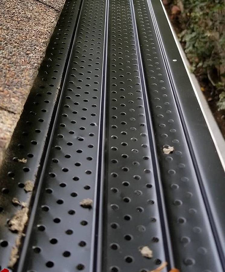 Fallen leaves on the perforated gutter guard.
