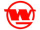 The logo of Wuhan Iron and Steel Group.